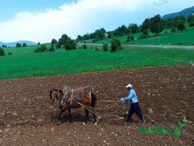 قیمت گاوآهن چوبی + پخش تولیدی عمده کارخانه